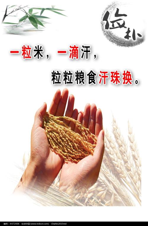 広島文教大学 Science and technology diploma